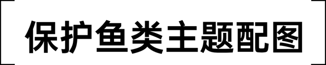 蜜蜂从地球上消失了会怎样，如果蜜蜂从地球上消失,人类将只能再存活四年（没有想法时，怎样突破重围的）