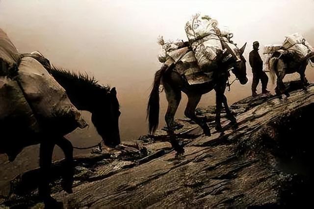 盐帮菜是什么地方的特色菜，盐帮菜是什么地方的特色菜啊（赤水河畔值得一品的盐帮菜）