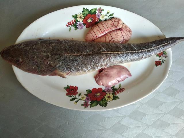 市场上常见的海鱼，海水鱼有哪几种（大多不超10元一斤）