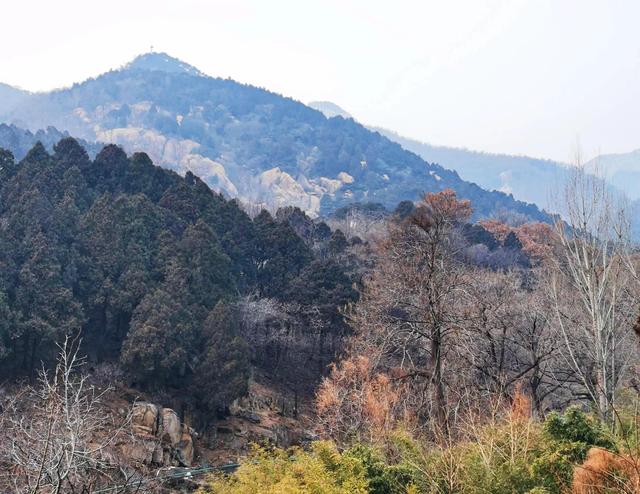 泰山好玩吗，泰山旅游攻略（此生不老，必去泰山）
