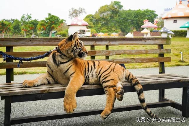 广西贵港旅游攻略，盘点20个值得一去的好地方