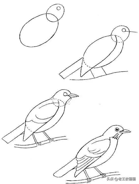 小学生简笔画，小学生简笔画图片大全（分享30个超详细的简笔画教程）