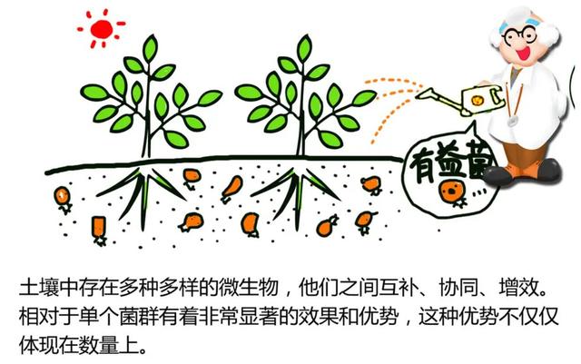 什么叫有机肥，有机肥是什么原料做的（搞种植的都在说“有机质”）