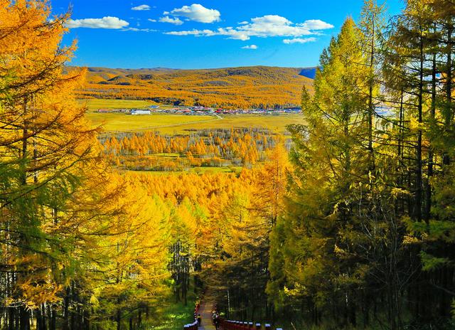 冬天去哪旅游比较好，冬天去什么地方旅游好（五大最美赏秋胜地）