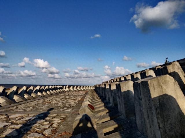 江浙沪露营，上海原生态网红小岛——横沙岛游玩攻略