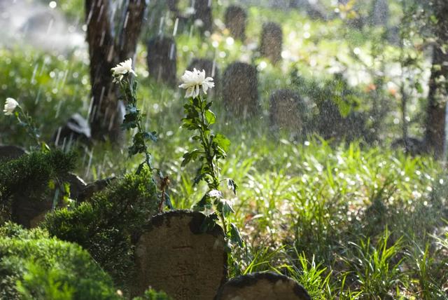 腾冲景点排行榜，腾冲十大景点排行（腾冲国家A级旅游景区最新盘点）