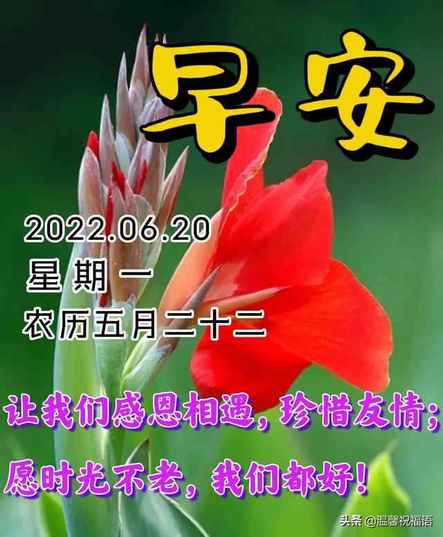 早上好的问候美句，关于早上好的问候美句有哪些（6月20日今生有缘）