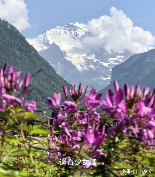 欧洲哪个国家的自然风景最美，欧洲自然风光最美的国家（瑞士最美小镇：茵特拉肯）