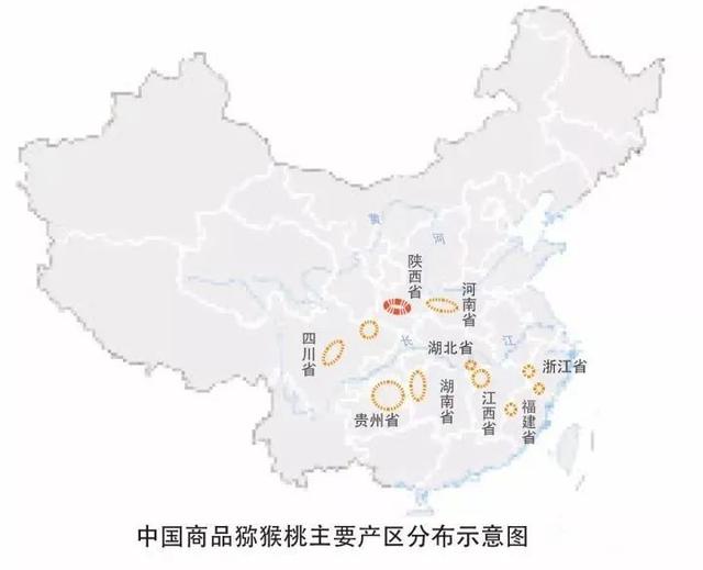 猕猴桃的原产地在哪里，猕猴桃的产地（猕猴桃亩产多少斤）