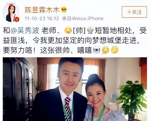 从雅痞大叔到永久退圈，吴秀波跌落神坛，揭露了人性的黑暗面