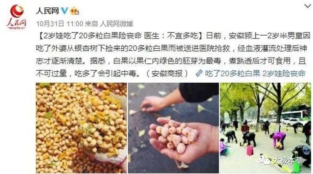 银杏果的食用方法，银杏果怎么吃（可用于慢性气管炎、青春痘等8种病的治疗）