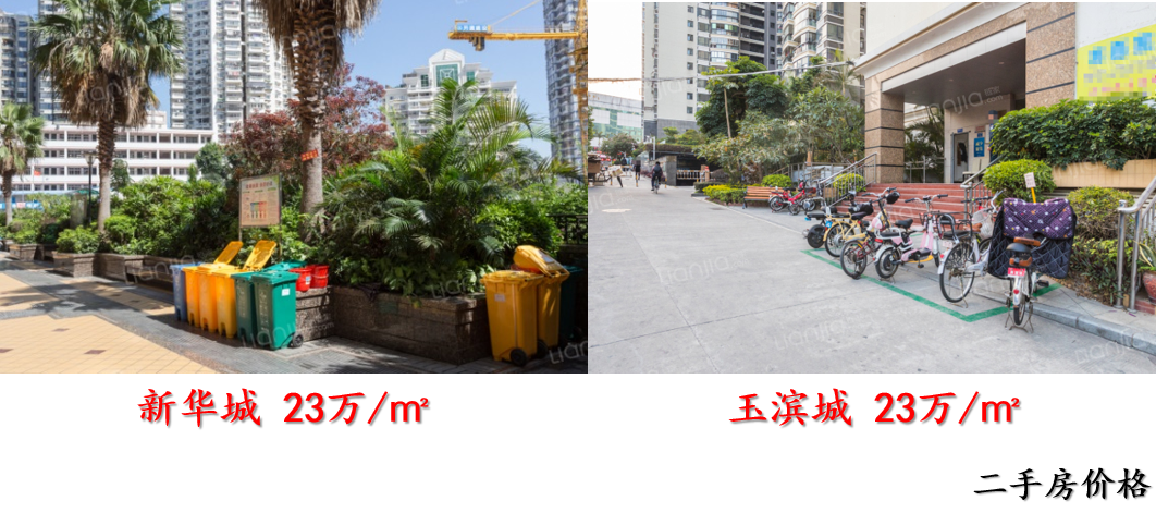 厦门的房价(厦门房价哪里查最准确)