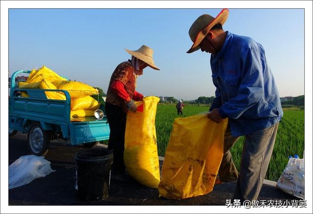 硫酸钾复合肥，氯化钾、硫酸钾、硝酸钾（硫酸钾复合肥15-15-15多少钱一吨）
