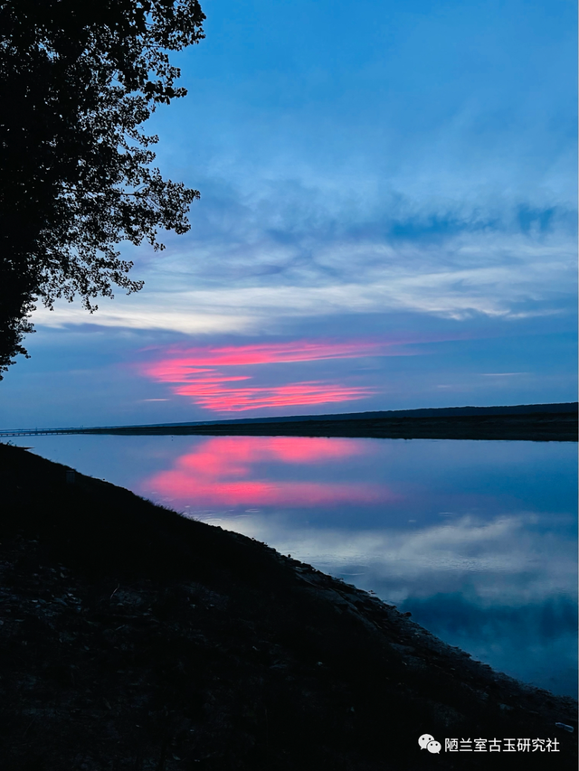 及锋而试指什么动物，锋正确答案生肖是什么动物（<第十八回>养精蓄锐以待及锋而试）