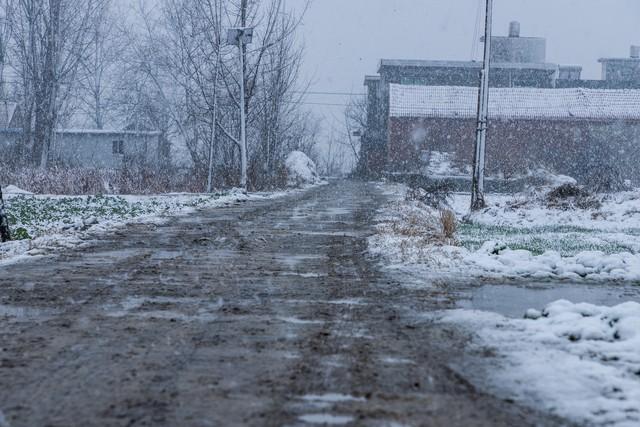 四九是什么意思，一九二九三九四九是什么意思（大年初一雨雪范围扩大）