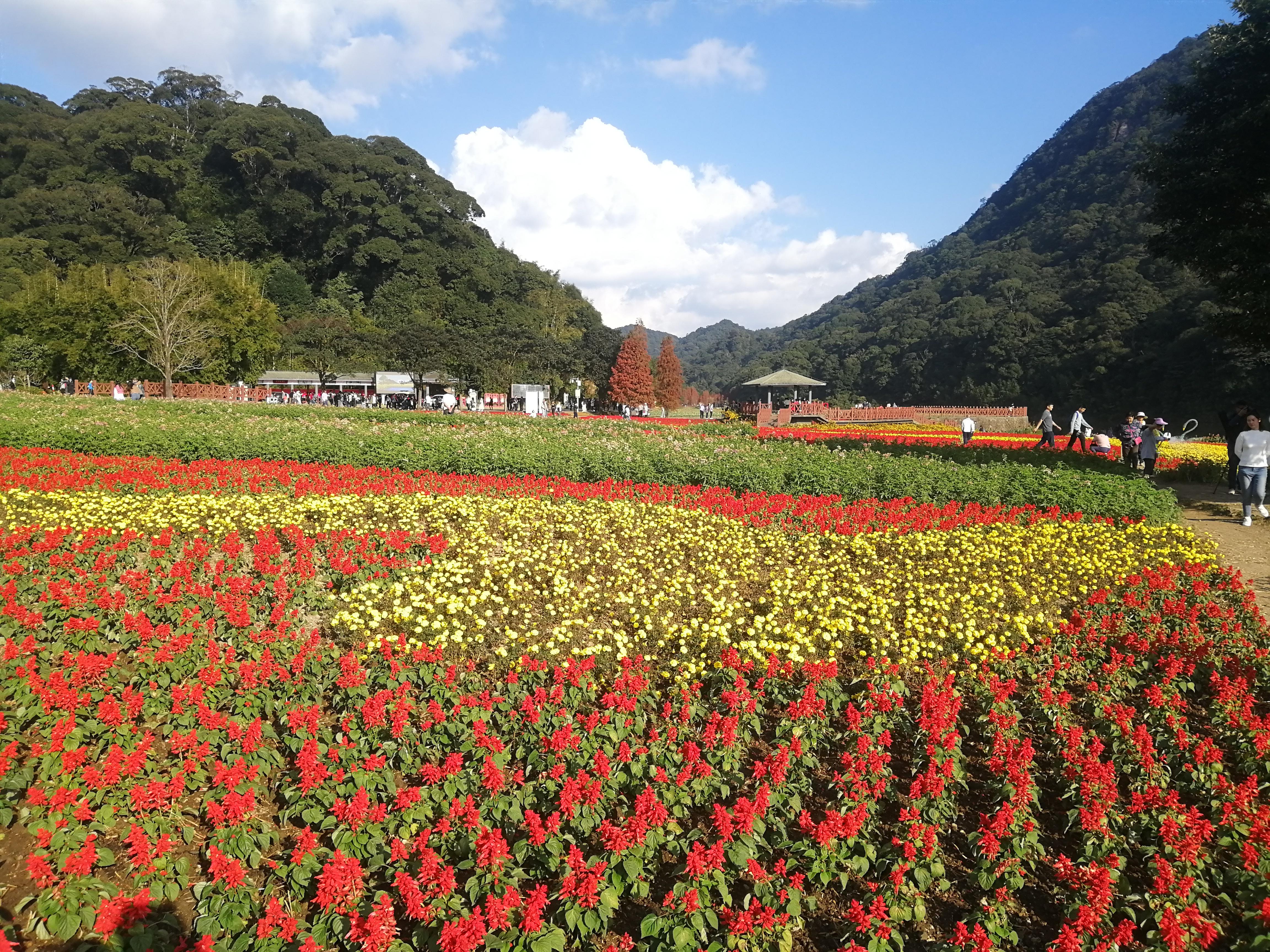 广州从化石门森林公园(地铁14号线坐公交游从化) - 悦闻天下