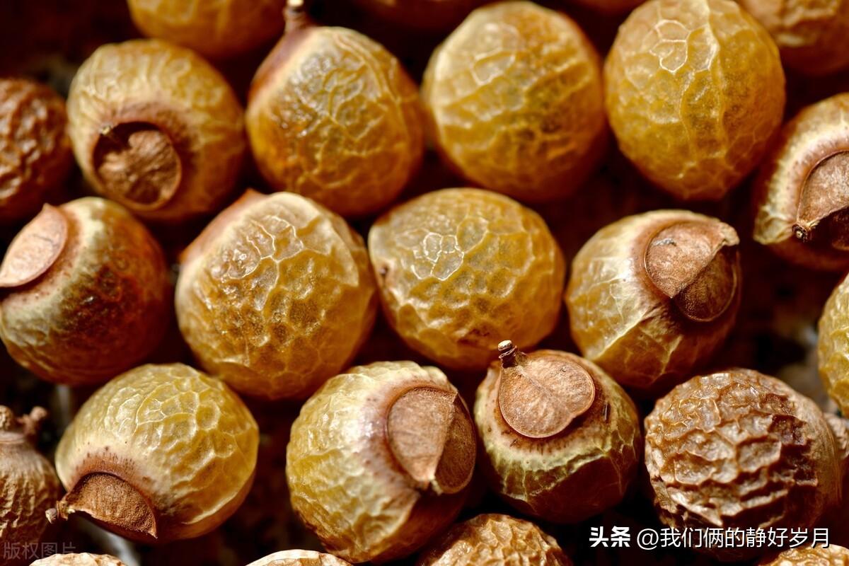 含皂角的洗发水，含皂角的洗发水好吗（<二>皂角、无患子等天然植物）