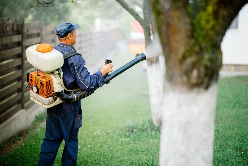 现在做什么赚(现在做什么工作赚钱)