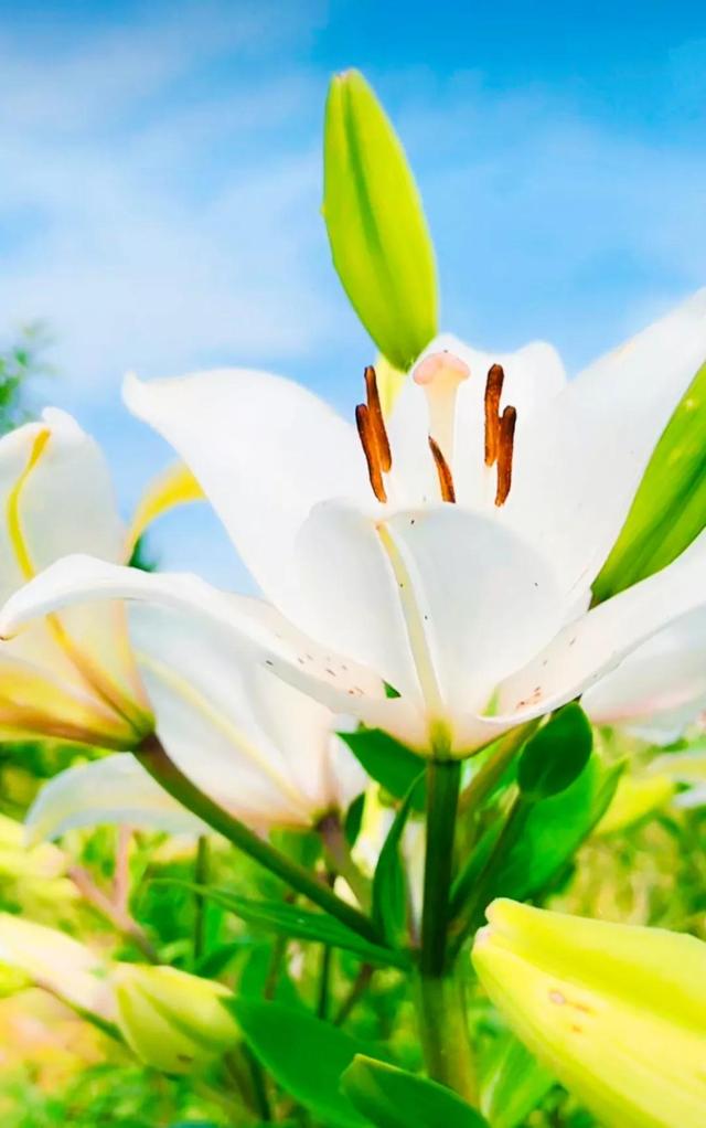 努力的意义是什么，努力的意义是什么图片（女人努力的意义是什么）