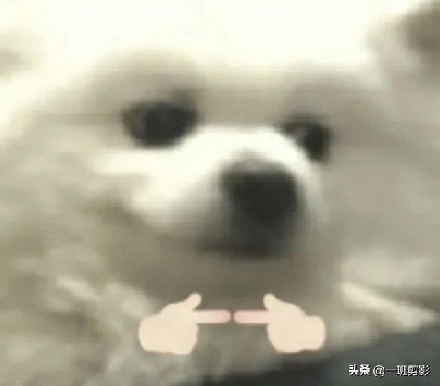 逗人开心又撩人的笑话，逗人开心又撩人的话（让人笑到肚子疼的笑话段子）