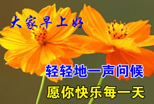 祝福全家的祝福语，2022年春节祝福语全家（直接群发家人朋友的早安祝福语精选大全）