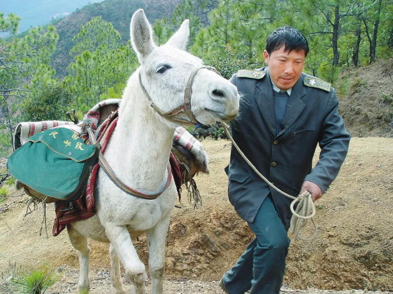哪个快递公司好(顺丰代发货业务)