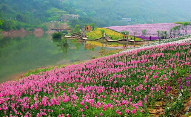 泸州有什么好玩的地方，四川省有什么好玩的旅游景点（泸州这些国家AAAA级景区）