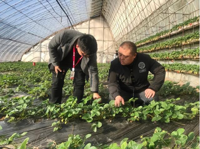 大家财险家庭保险，家庭财产保险的保险范围（大家财险展现险企责任与担当）