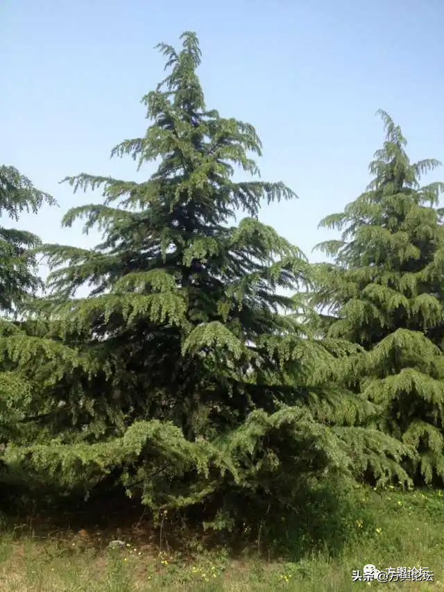 淮安市属于哪个省，淮安市是哪个省（082淮安市：运河之都）