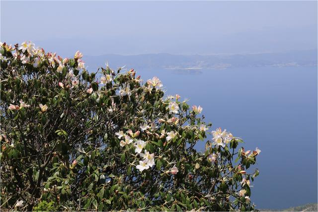 抚仙湖旅游，抚仙湖旅游攻略（胡言摄影抚仙湖16年的50幅照片）