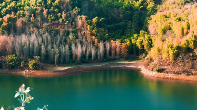 弥勒市属于哪个市，弥勒是云南的那个地方（凭啥成为云南旅居城市的天花板）
