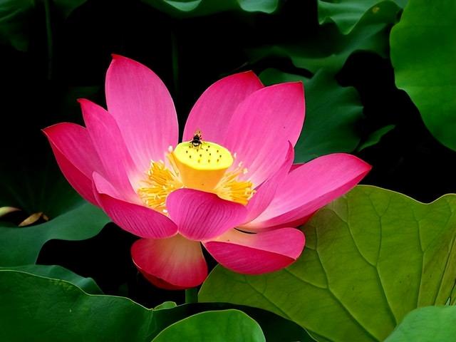 温暖人生的哲理句子，温暖人生的哲理句子简短（触动人心的哲理语录）