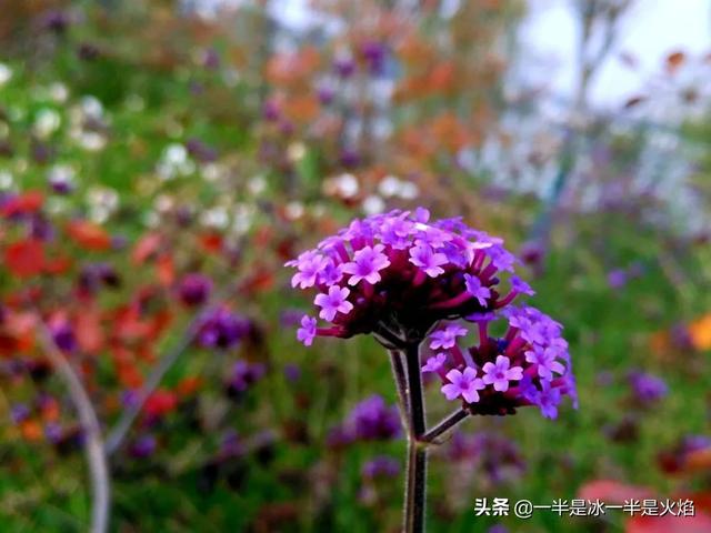 惊蛰的意思，惊蛰的意思和来历（惊蛰：春日惊醒，万物惊喜）