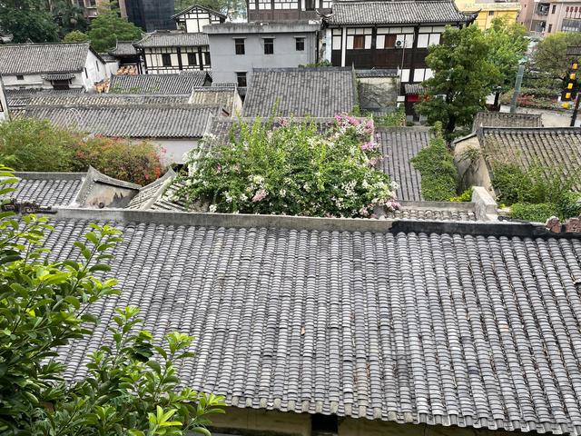 深圳甘坑客家小镇，深圳游玩甘坑客家小镇半日游攻略（客家文化特色小镇“甘坑古镇”）