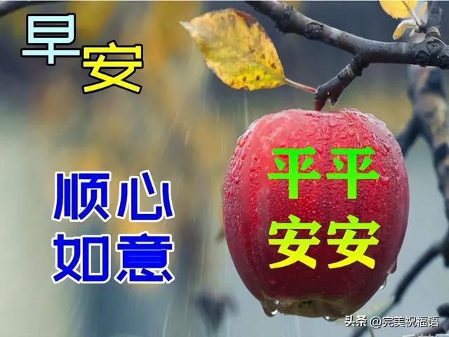 祝贺语大全，祝贺语怎么说（今日最新早上好表情大全）