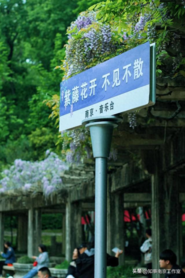 乌衣巷里游客多，老房老街（南京超实用旅行攻略）