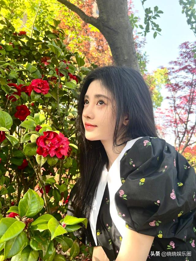 花园里的洋娃娃，妹妹背着洋娃娃歌词（人气美女鞠婧祎晒花园美照）