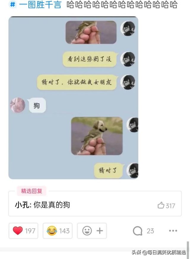 在吗怎么幽默回答，在吗 各种回答（神回复：你这是在干嘛）