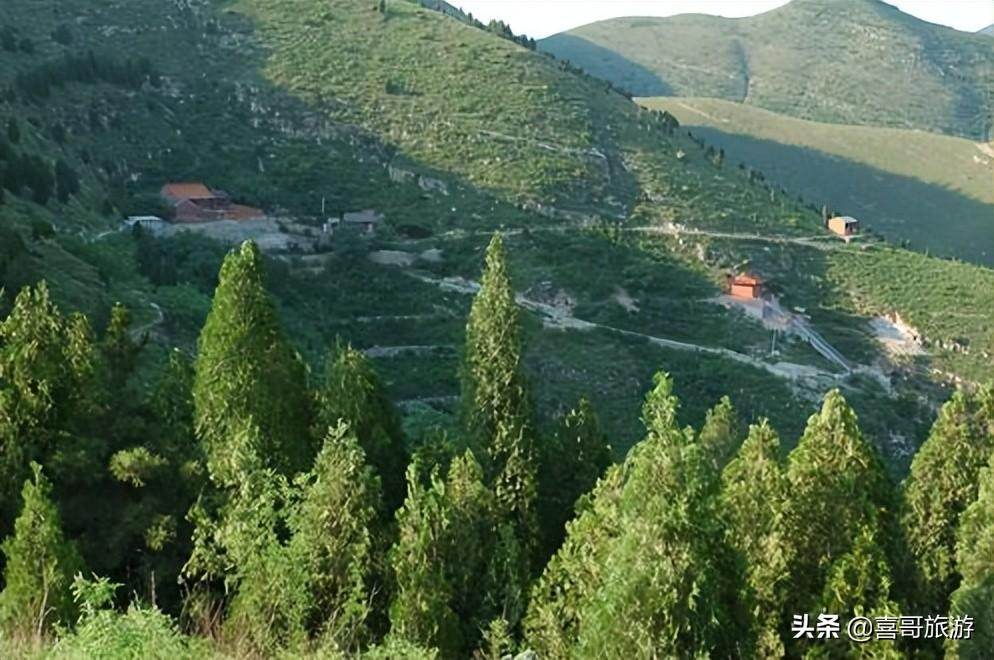 上虞属于哪个市(上虞和新昌哪个好)