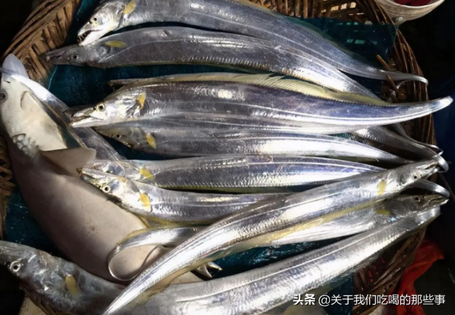 海鱼大集合，认识美味海鱼（这4种是野生海鱼）