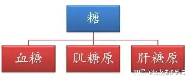 游泳健身了解一下，学会这这几个技巧开始游泳健身（带你了解游泳健身与营养）