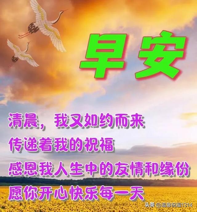 岁月静好短句八个字，岁月静好的唯美八字短句（6月7日早安问候）