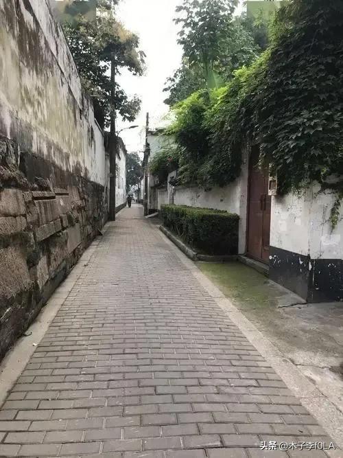 白玫瑰的花语是什么，白玫瑰花语是什么（我足以与你相配）