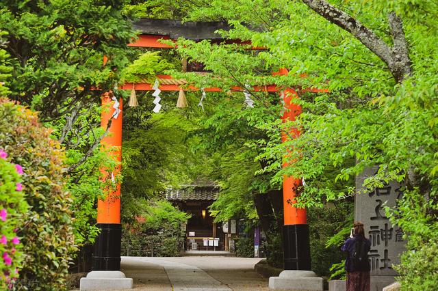 大学生必读书籍十大排行榜，带你从多个角度看待整个世界