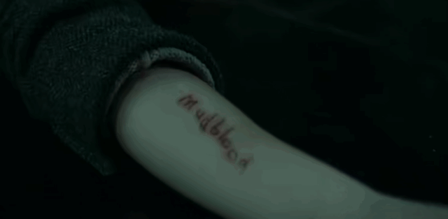 哈利波特的结局是什么，哈利波特结局了（哈利·波特杀死《哈利·波特》）