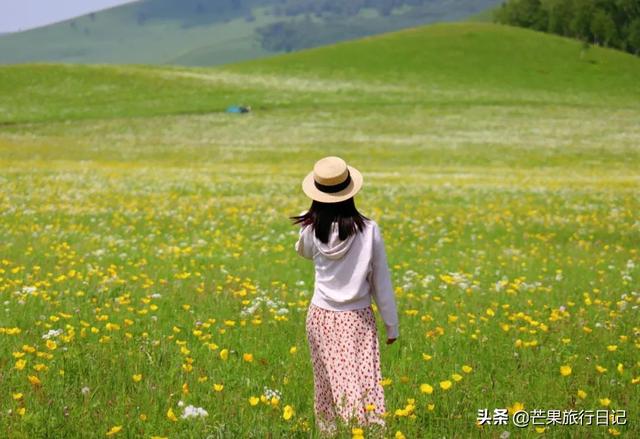 世界最大的草原，世界最著名的三大草原（面积是山东江苏两省之和）