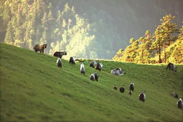 剑门关旅游攻略，剑门关附近景点旅游攻略一日游（去四川的北边乘凉、耍水、享美食）