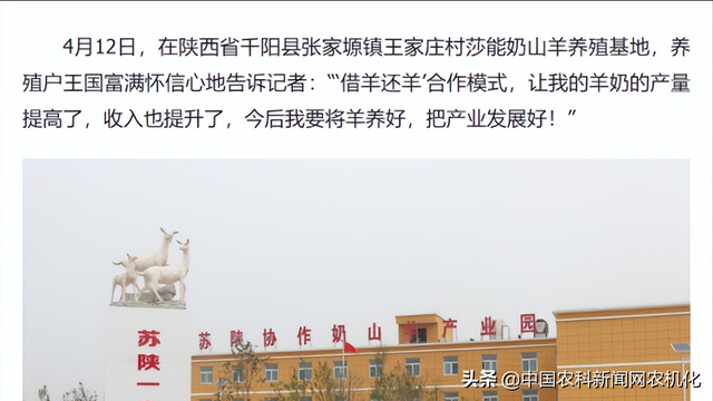 羊奶粉哪个好，羊奶粉哪个好吸收（千阳县莎能奶山羊“借羊还羊”模式带动产业发展）