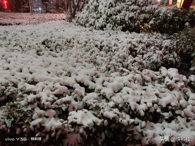 vivoy35是全网通的吗，Y35评测：解锁千元级新体验