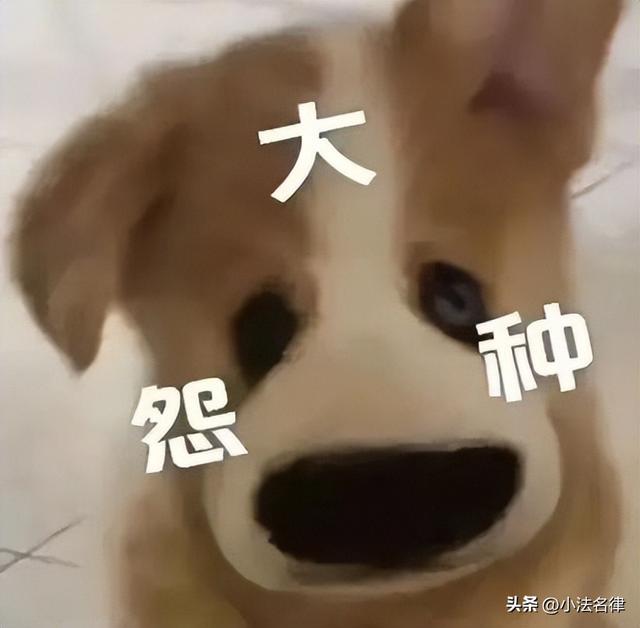 姓名查询身份证号码，知道姓名怎么查询身份证号码（一样可以知道对方的身份证号码）